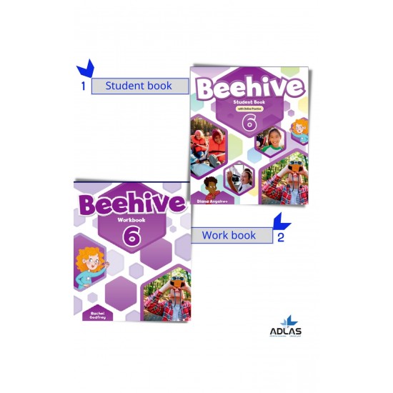 Beehive level 6 student book & workbook
