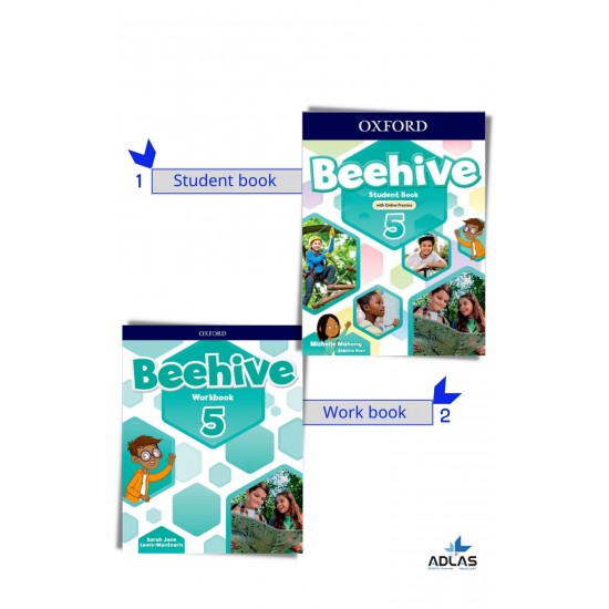Beehive level 5student book & workbook
