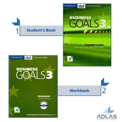 Business Goals Sb & Wb Level 3 Business Goals Sb & Wb Level 3